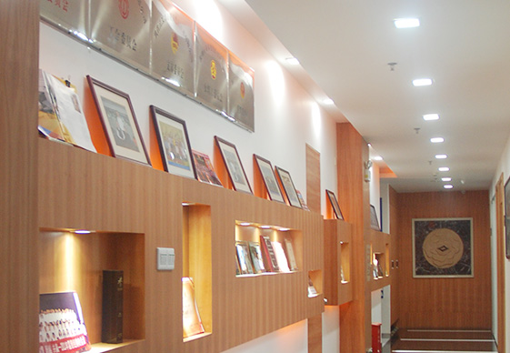 做為國(guó)產(chǎn)工業(yè)內(nèi)窺鏡設(shè)備老品牌廠家，深圳亞泰光電深耕工業(yè)內(nèi)窺鏡、工業(yè)管道內(nèi)窺鏡、工業(yè)視頻內(nèi)窺鏡等20余載，自主研發(fā)生產(chǎn)內(nèi)窺鏡產(chǎn)品具有多項(xiàng)發(fā)明專利，內(nèi)窺鏡廠家直銷，價(jià)格優(yōu)惠。